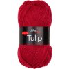 TULIP41158