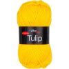 TULIP41251