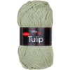 TULIP41307