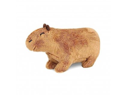 kapybara 1050x1050