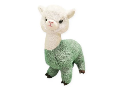 lama 06