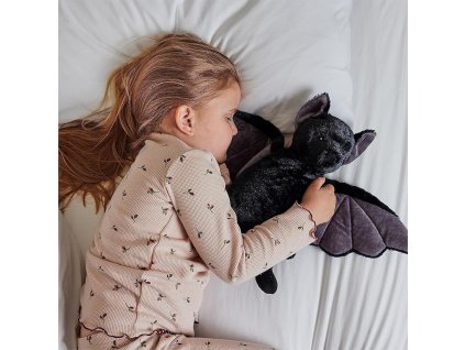 plysak hrejivy netopyr 2