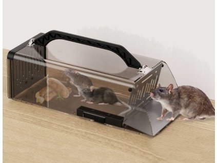 humánní past na hlodavce, myši, podkany a krysy