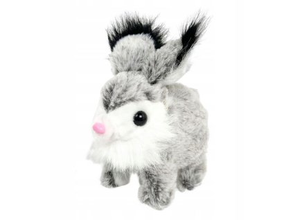 Králíček chodící