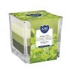 svice green tea 170g