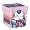 svice frozen berries 170g