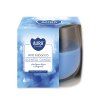 svice anti tobacco 130g