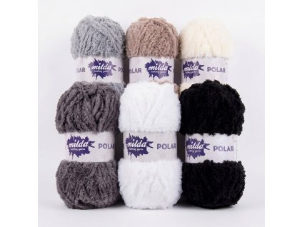 Milda Polar skupina kopie