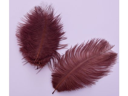 Peří z pštrosa 5 ks 1