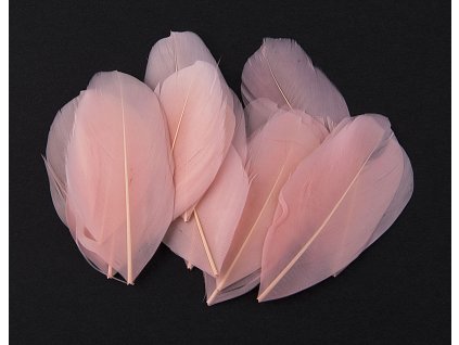 Husí peří 5-7cm / 20ks 1