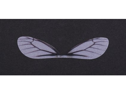 Dekorácia krídla 80x15mm