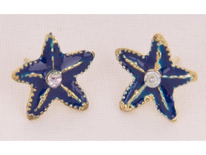 Earrings star 10x10 mm