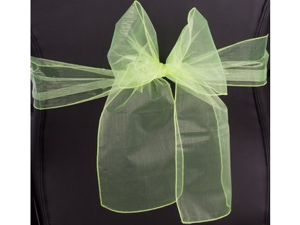 Stuha organza 20x275 cm