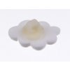 Plastic cloud button