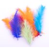 Peří Marabu 10-16cm/10ks varianta sytě barevné