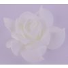 Květ pěnový 70-80 mm varianta 8 smetanový