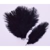 Peří z pštrosa 5 ks varianta 2 černé