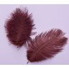 Peří z pštrosa 5 ks 1