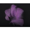 Husí peří 8-12cm - 10ks varianta světle fialová