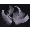 Husí peří 8-12cm - 10ks varianta šedé