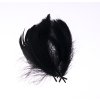 Husí peří 8-12cm - 10ks varianta černé