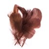 Husí peří 8-12cm - 10ks varianta hnědé