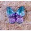 Nalepovací kámen motýl 10mm varianta modro-fialový