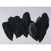 Husí peří 5-7cm / 20ks varianta černá