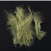 Peří Marabu 10-16cm/50ks varianta zelené
