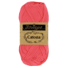 Scheepjes Catona