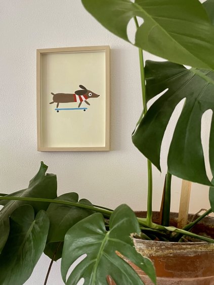 Ilustrace Jezevčík