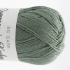 BC Garn Summer in Kashmir 22 - Greenish Grey