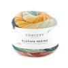 Katia ILLUSION MERINO 302 1