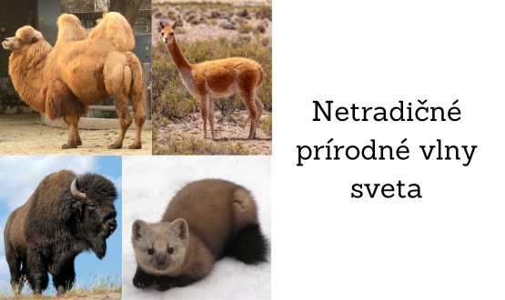 Netradičné prírodné vlny sveta