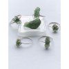 bs D moldavite genuine