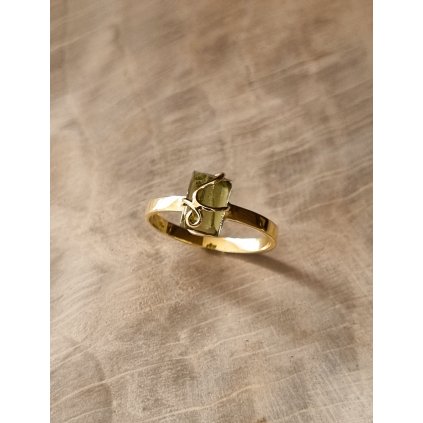 Gold ring with Moldavite 2000336280006