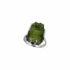 Silver ring with Moldavite P2000315250006