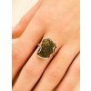 Silver ring with Moldavite P2000315610008