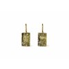 Gold earrings with Moldavite 200033560009