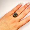 Moldavite ring in gold with garnet 2000124930007