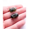 Moldavite earring in silver 2000066940003