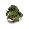 Moldavite ring in silver 2000284790008