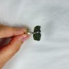 Moldavite ring in silver 2000295260002