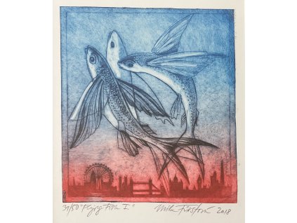 Fürstová Míla, Létající ryba I. (Flying Fish I.)