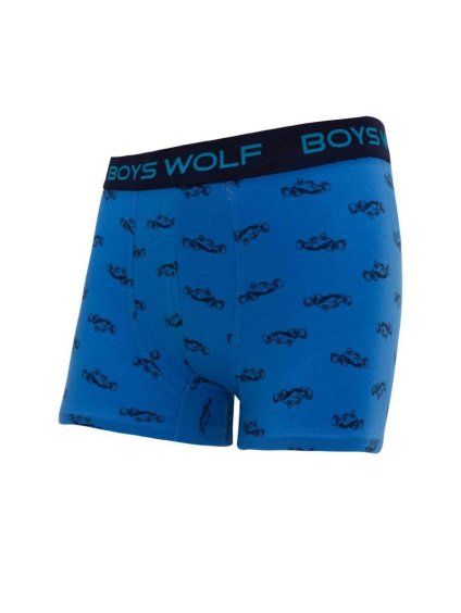 Boxerky (134-164) WOLF L2982B