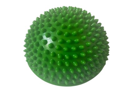 BGJZEL1