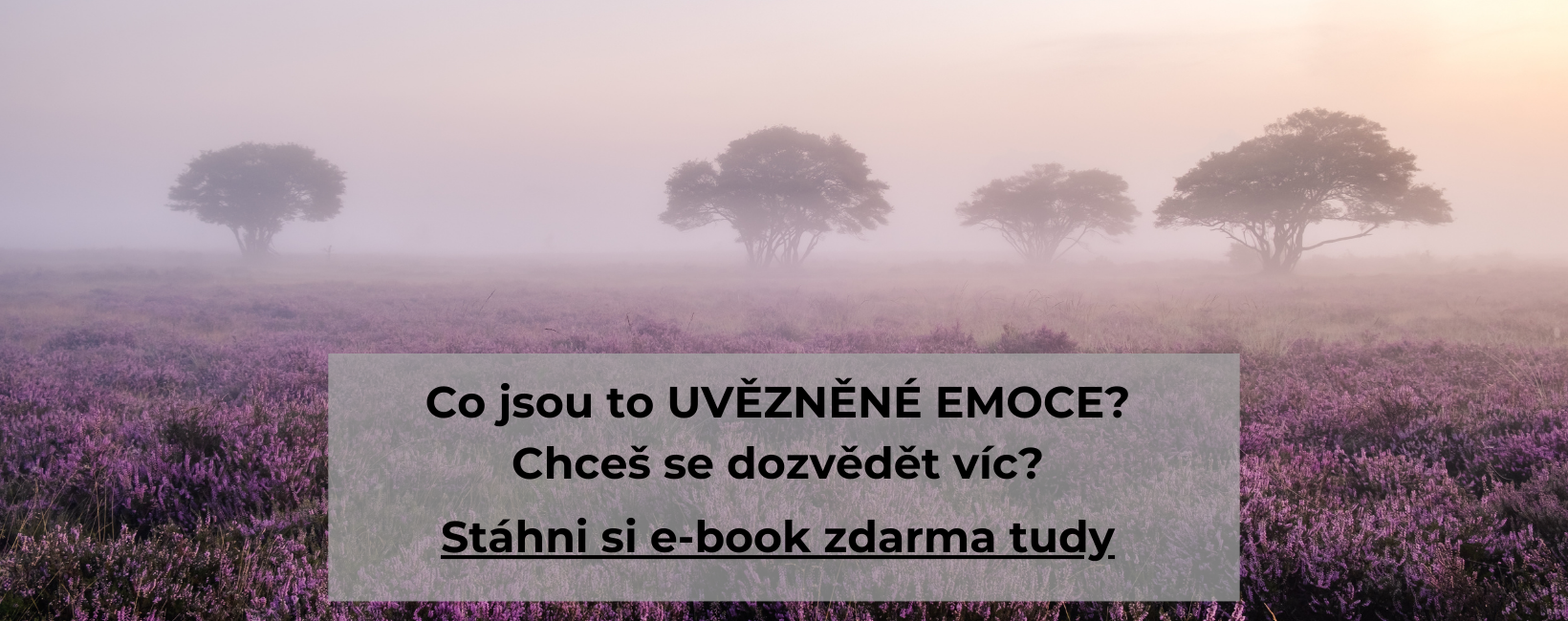 ebook