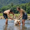 Bateriová outdoorová sprcha Flextail MAX Shower (Barva Bílá)