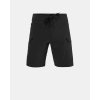 Šortky Hiko Gambit v. 2 All-day Shorts (Velikost 29, Barva Rusty red)
