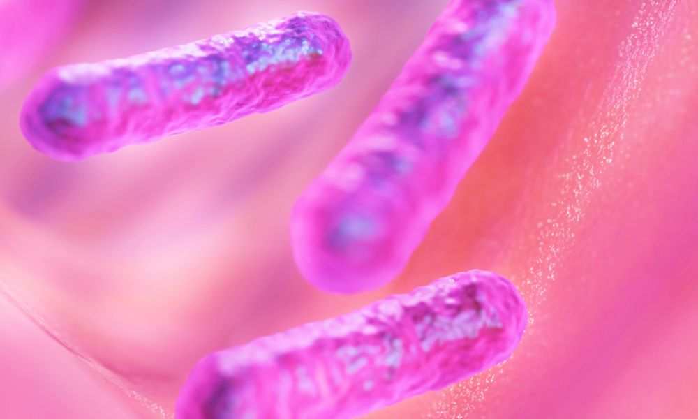legionella_bakteria_vo_vode